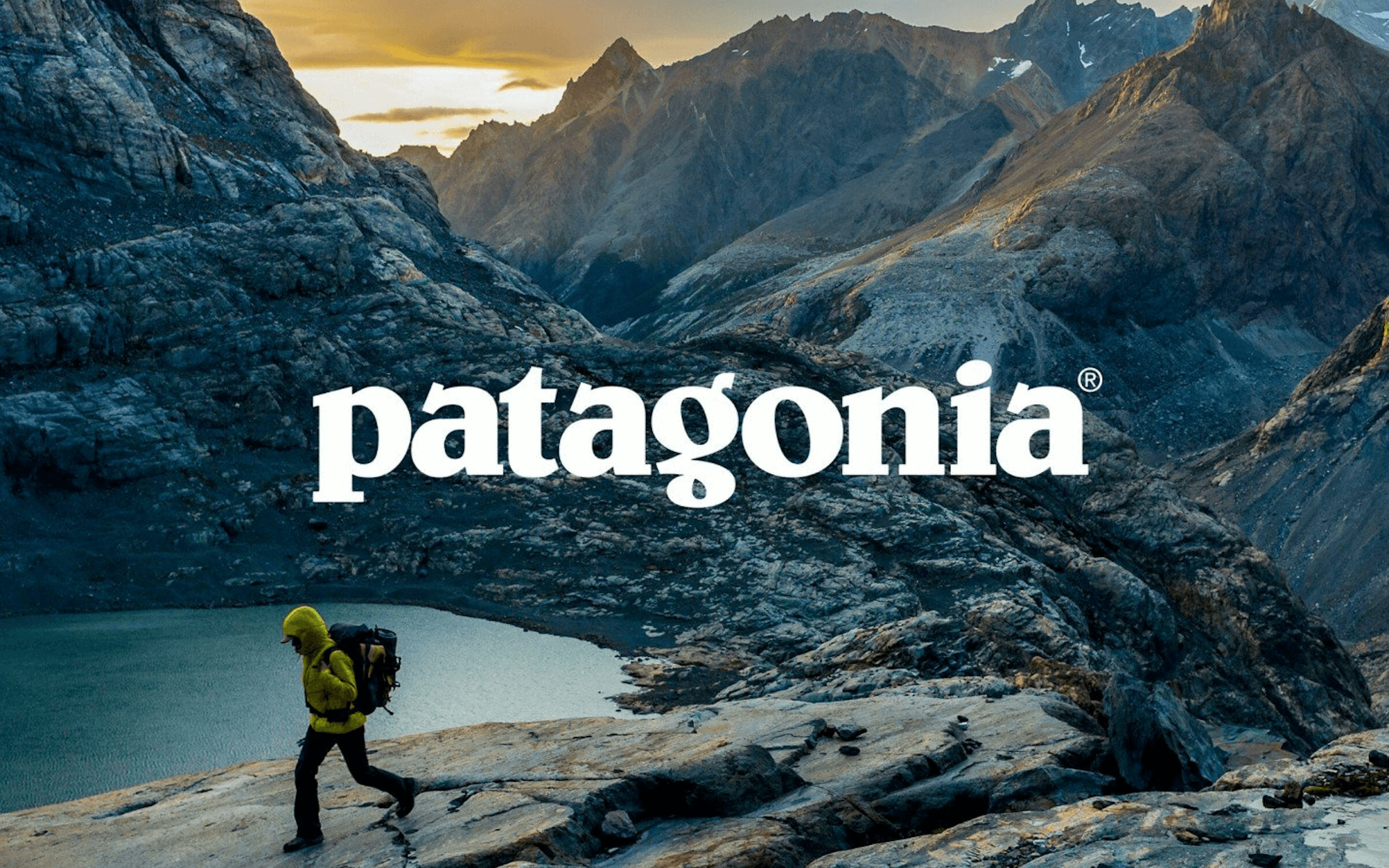Patagonia: A Purpose-Driven Brand Built on Action.
