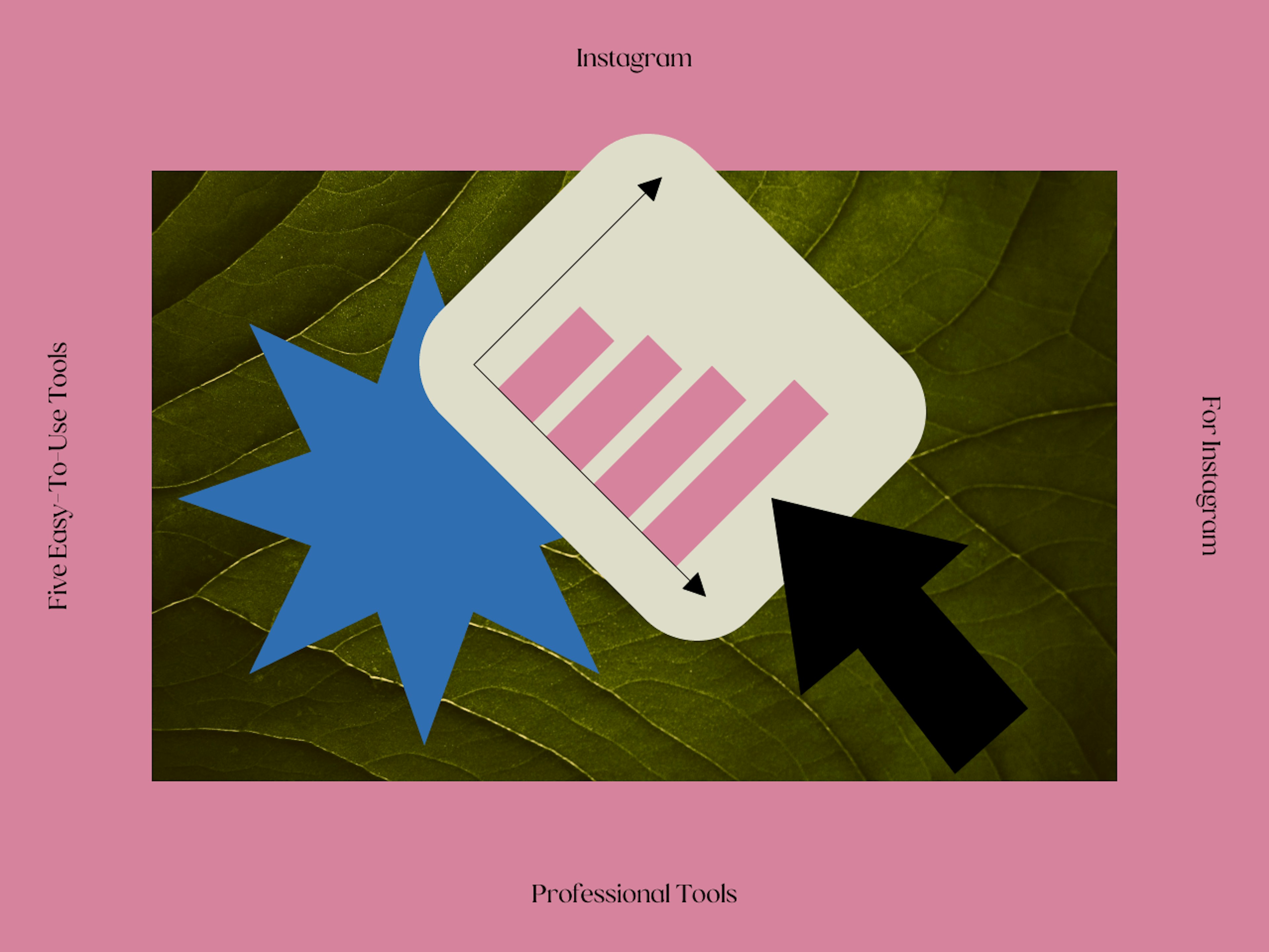 What Are Instagram Professional Tools?