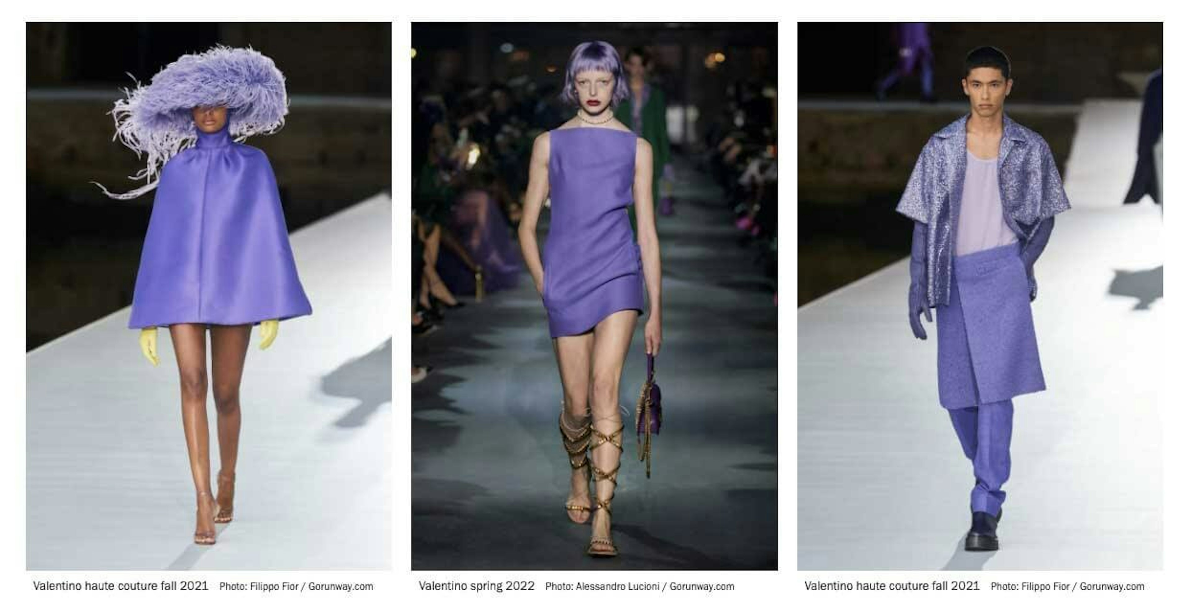 2022 Color Trends