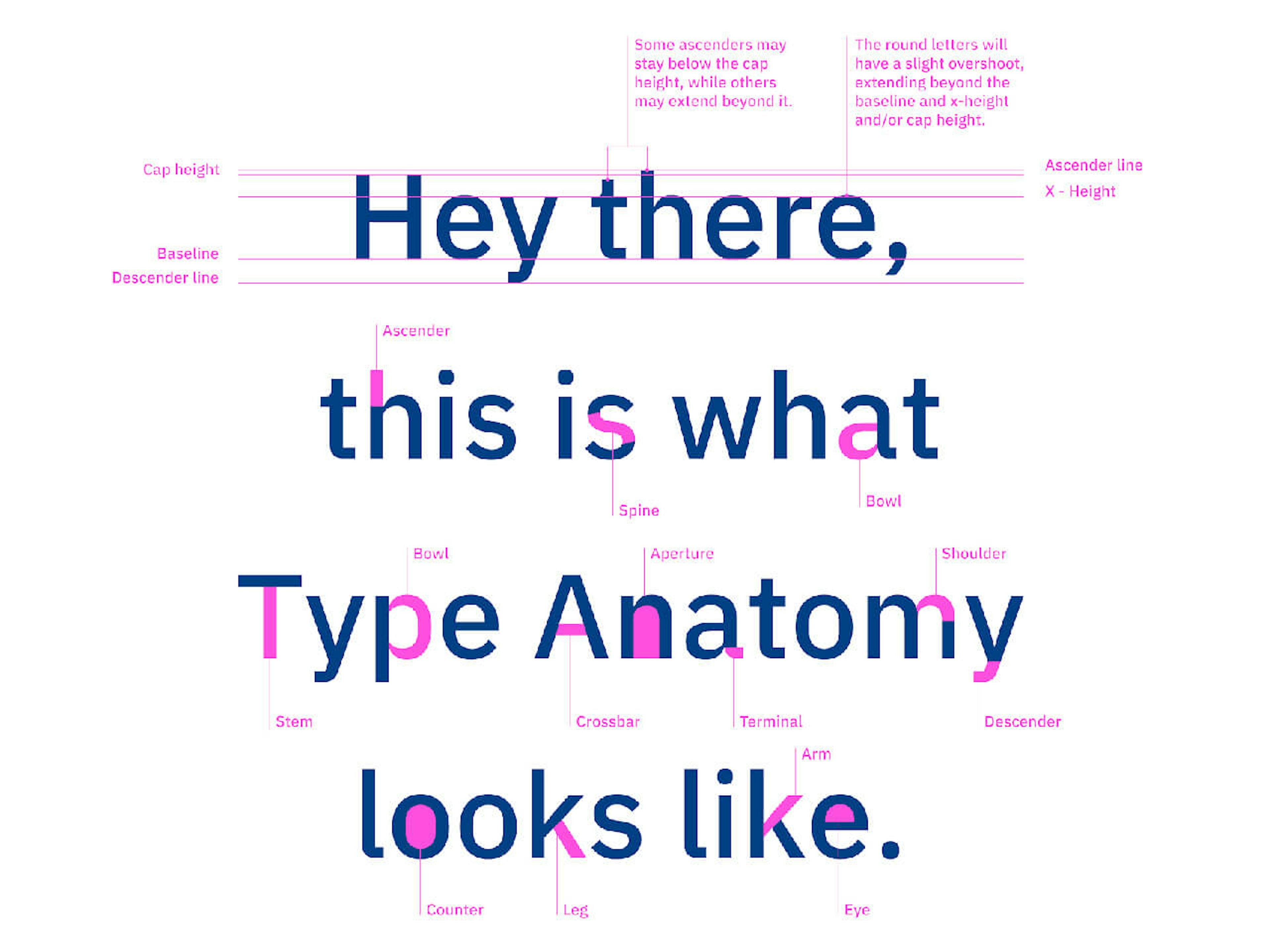 Typography 101