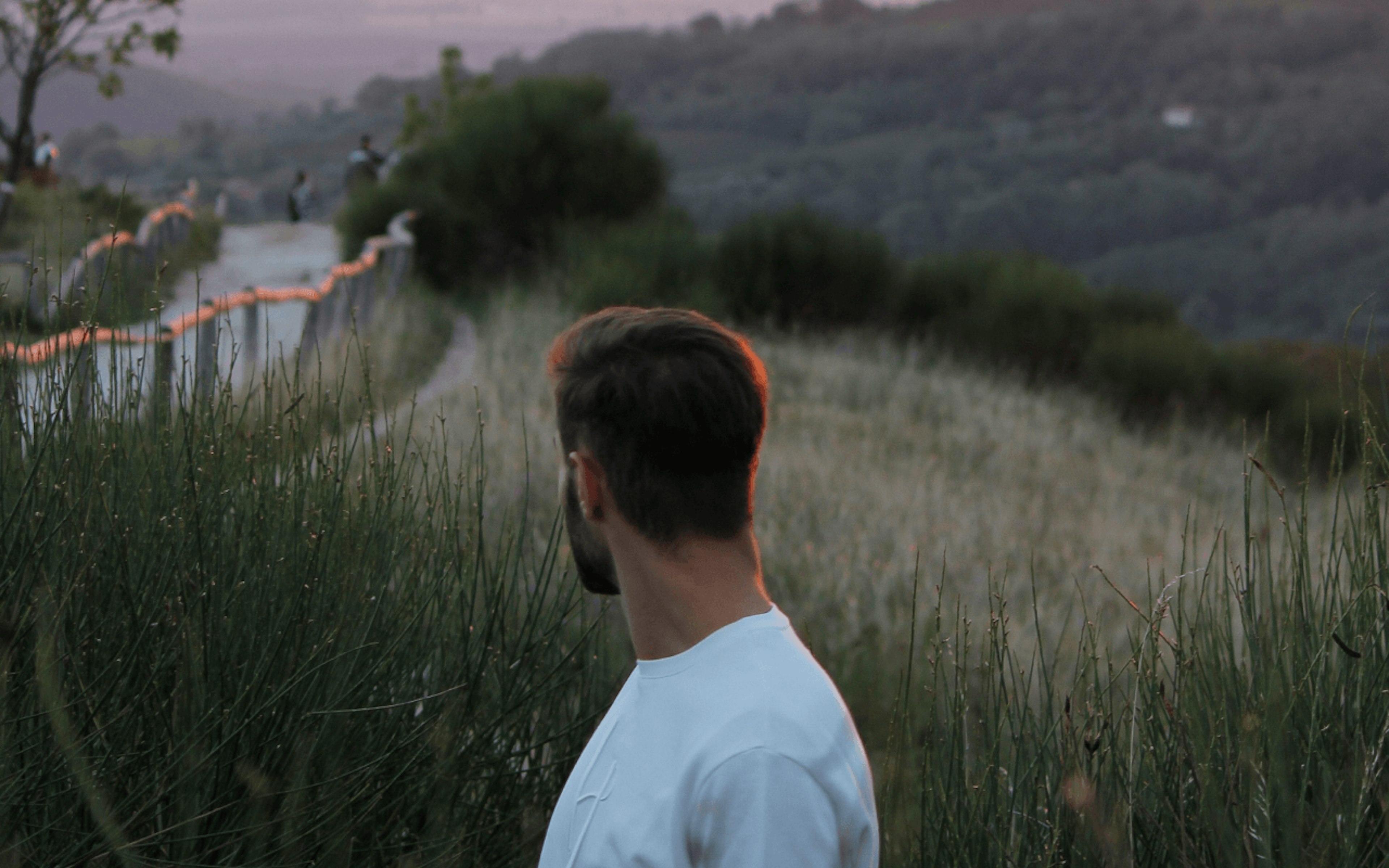 25+ Resources to Find Free Images for Your Design Projects