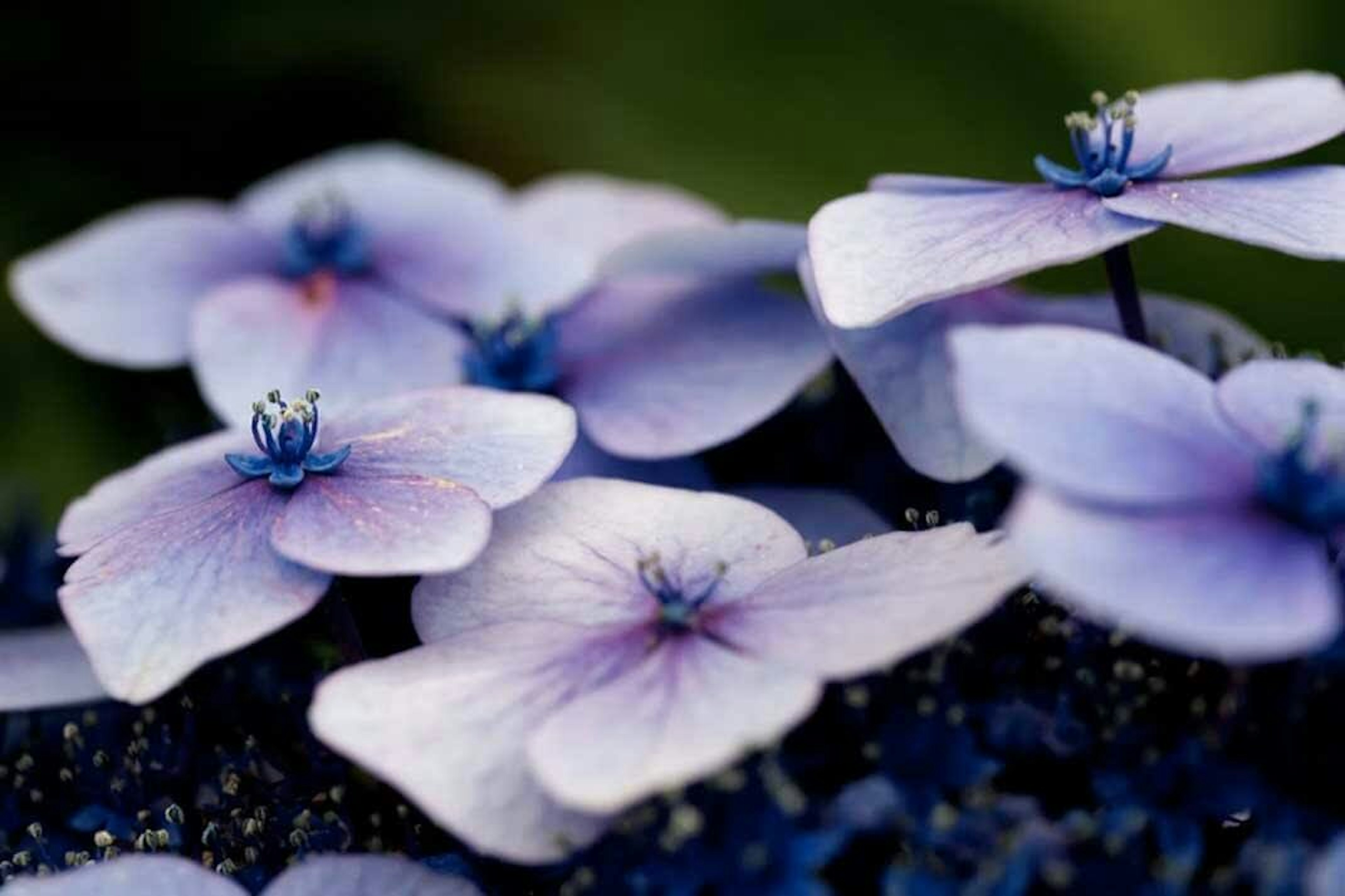 Color trends 2022