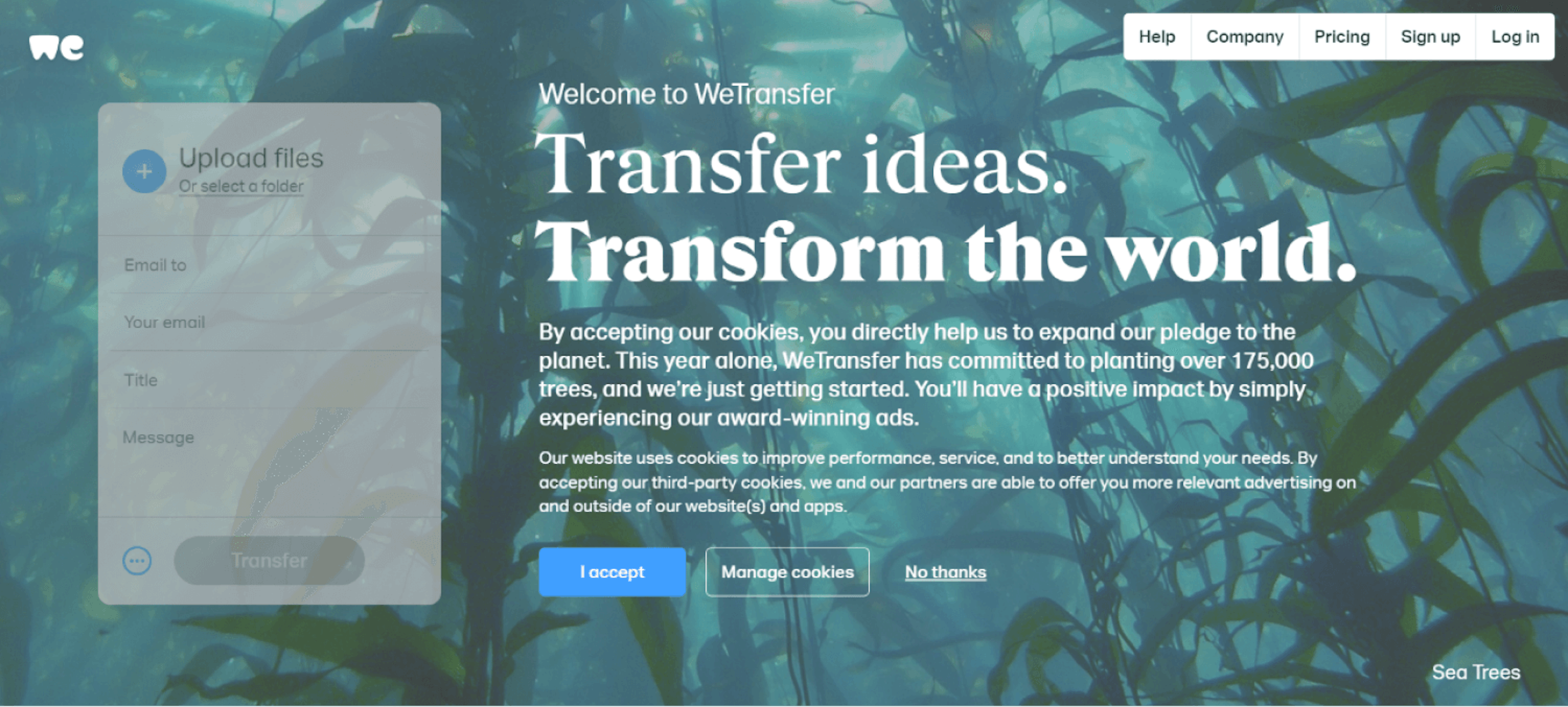 WeTransfer Sea Trees