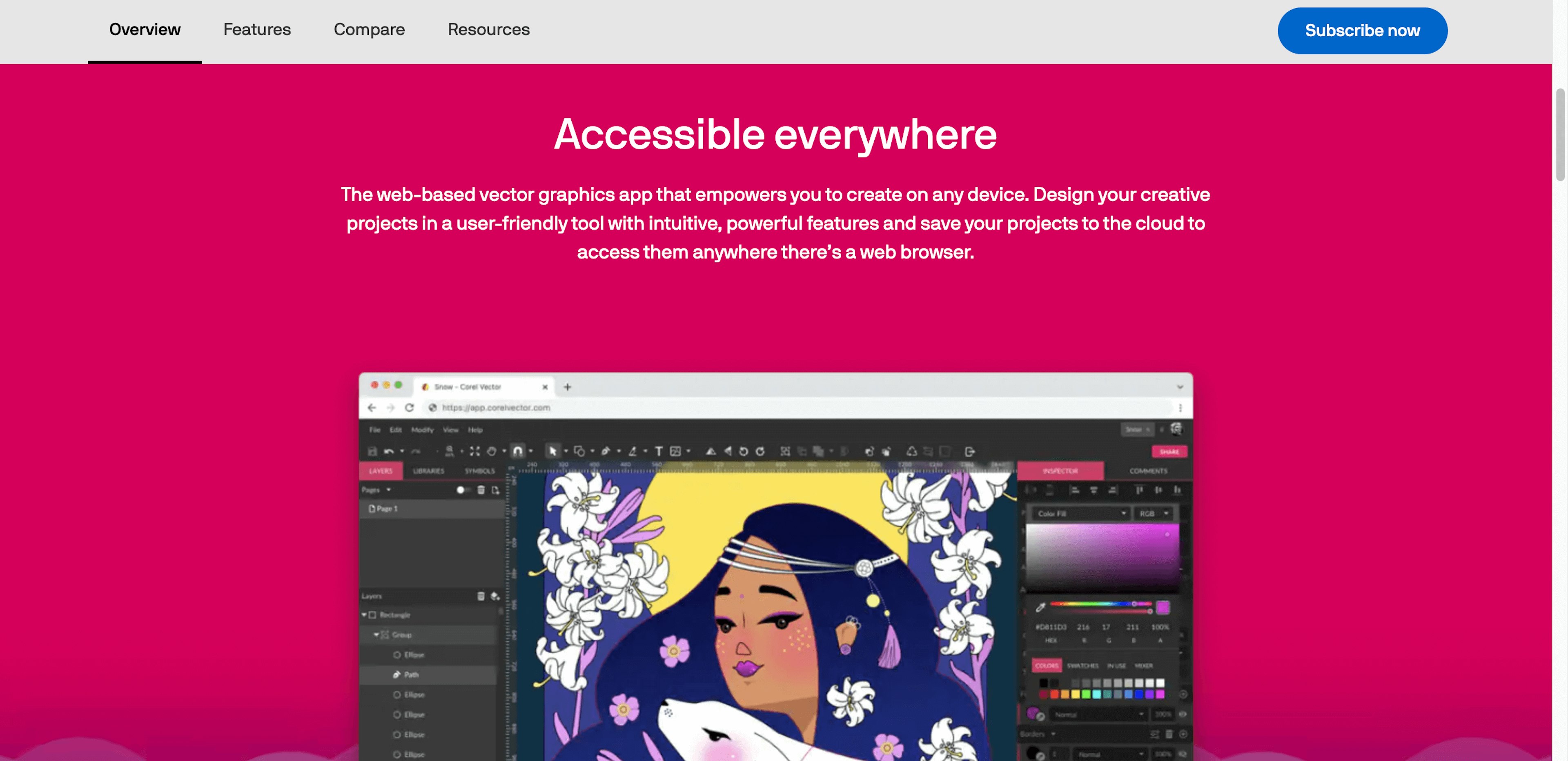 Corel Vector