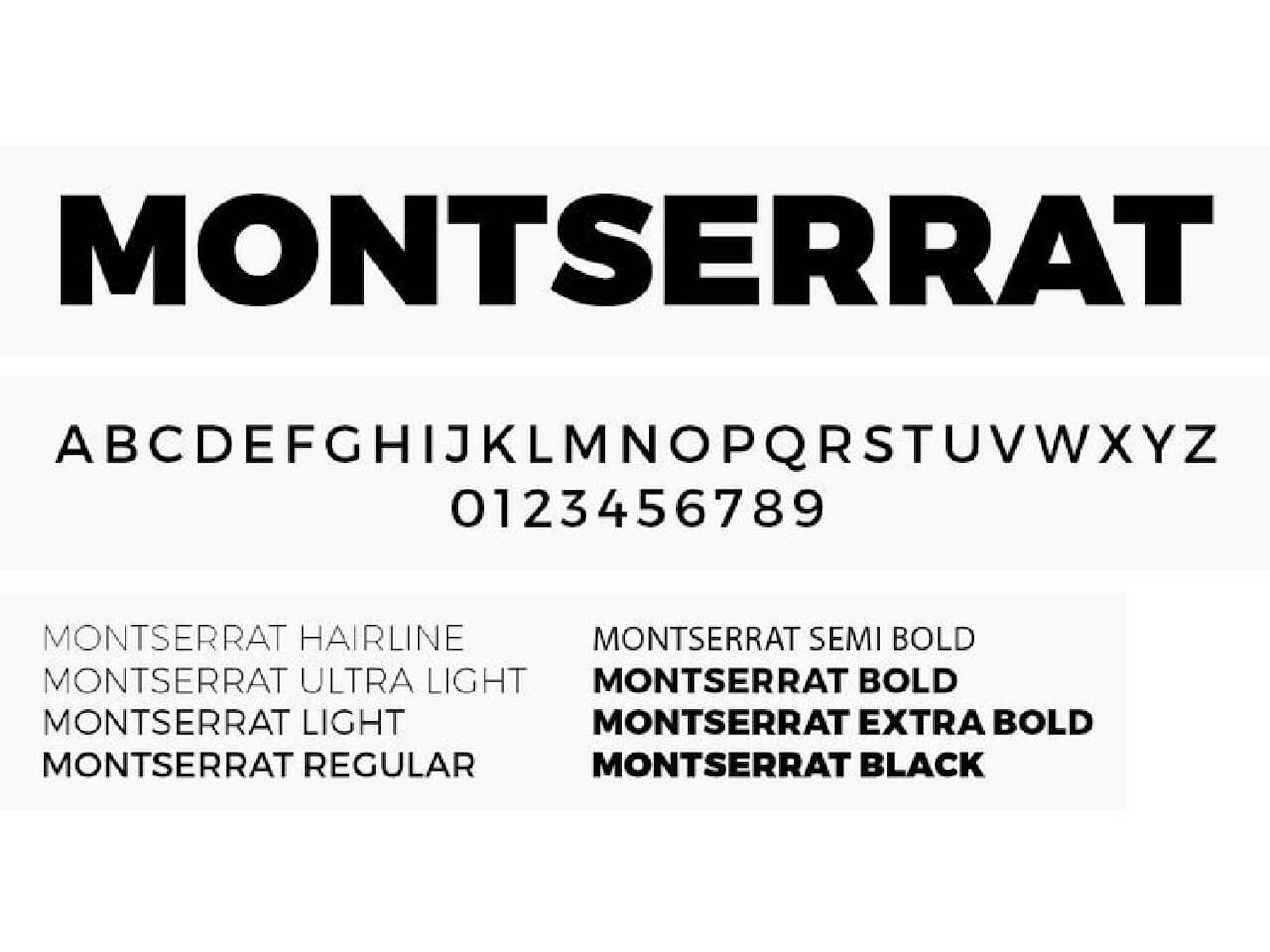 Typography