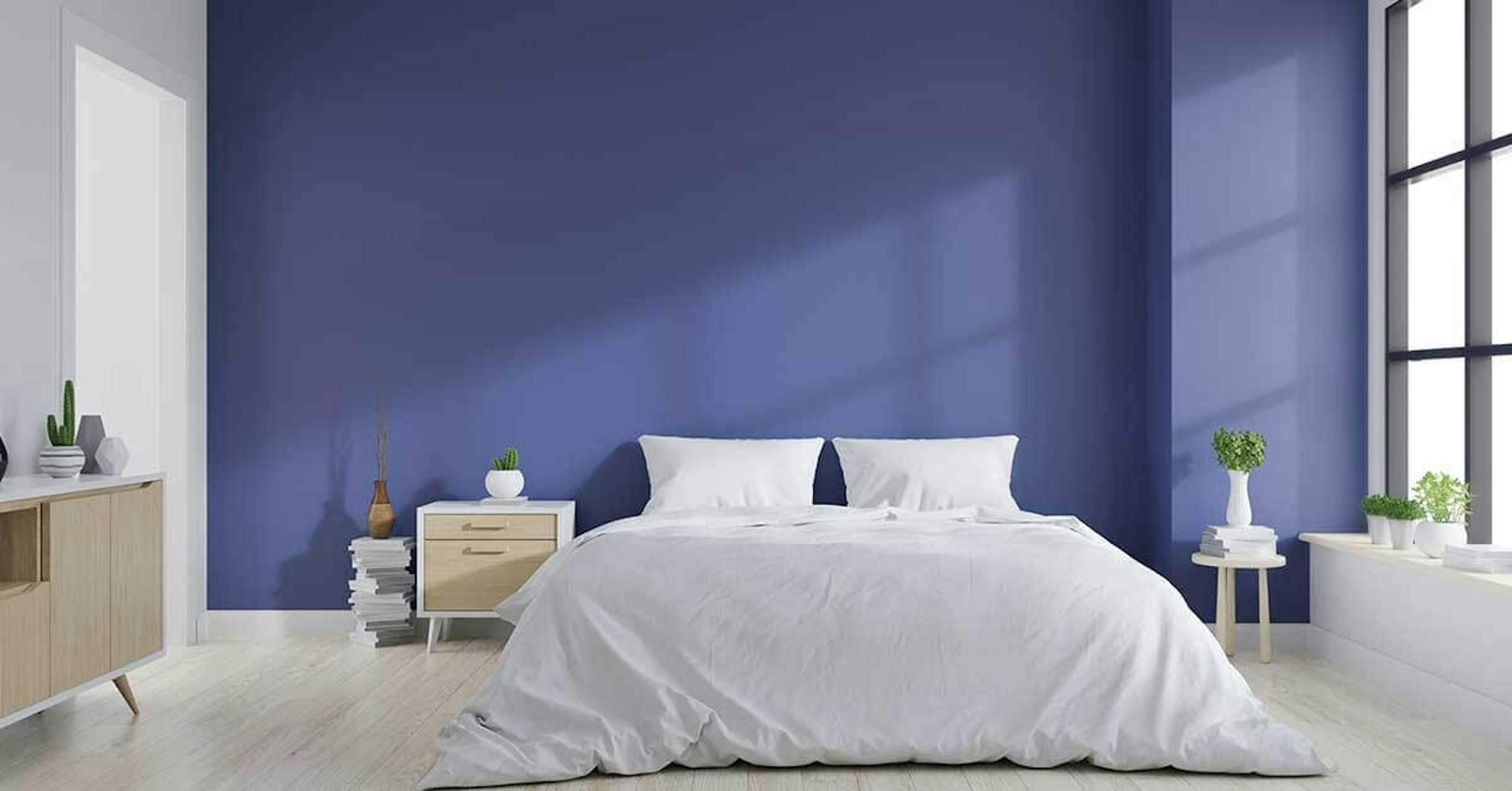 2022 Color Trends