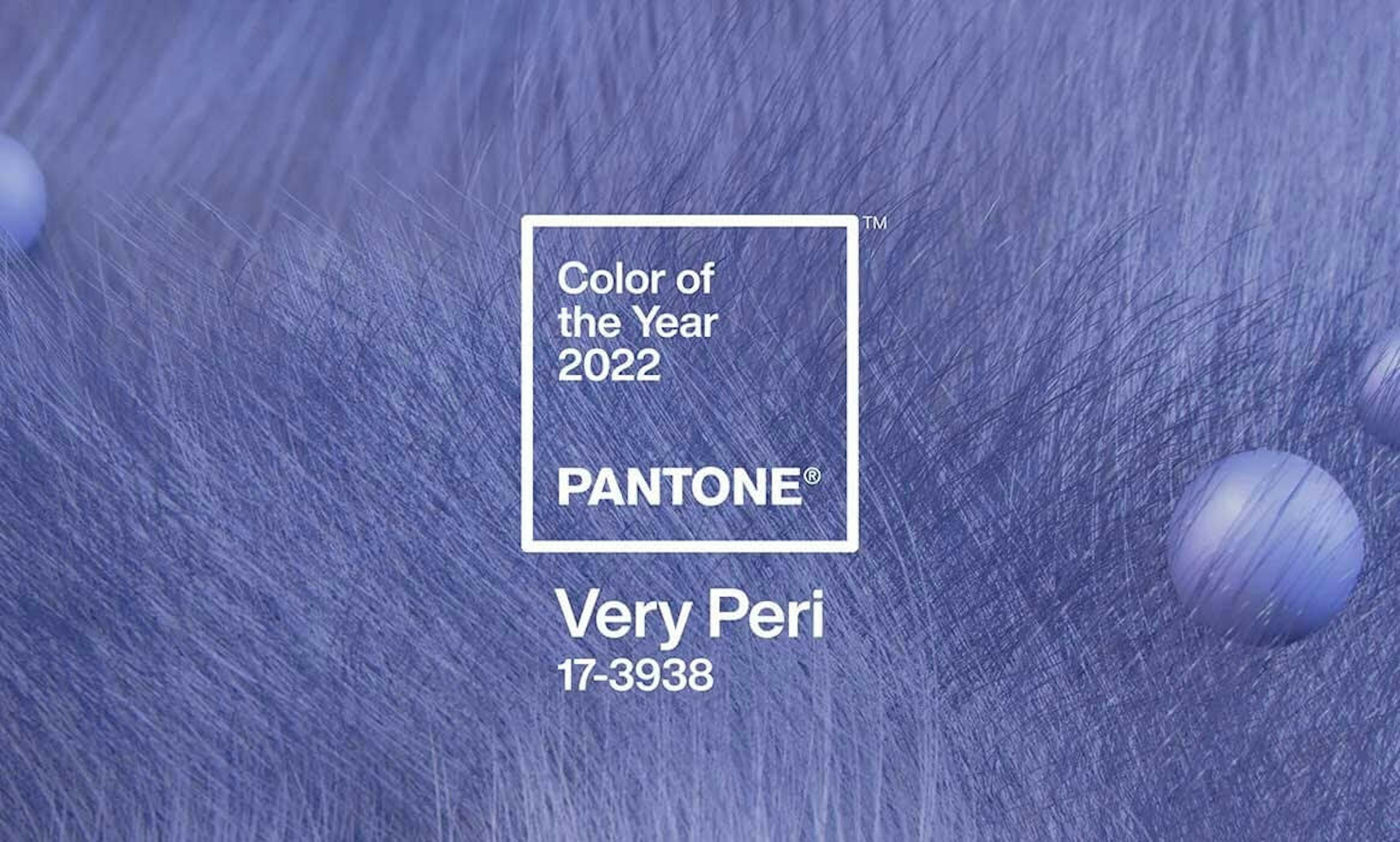 Color trends 2022